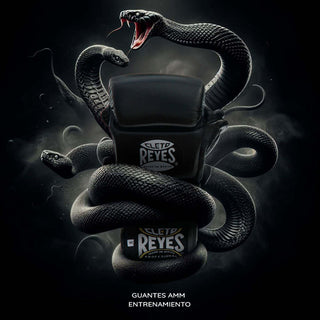 Handschoenen MMA Cleto Reyes Black Mamba-training