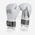 Guantoni Cleto Reyes Sparring CE6 Bianco-argento Edizione Speciale-Combat Arena